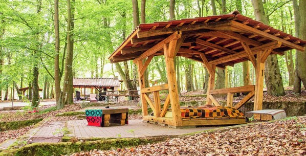 Property grounds - Sleeping in the beech green in the fresh forest air (Landolfshausen)