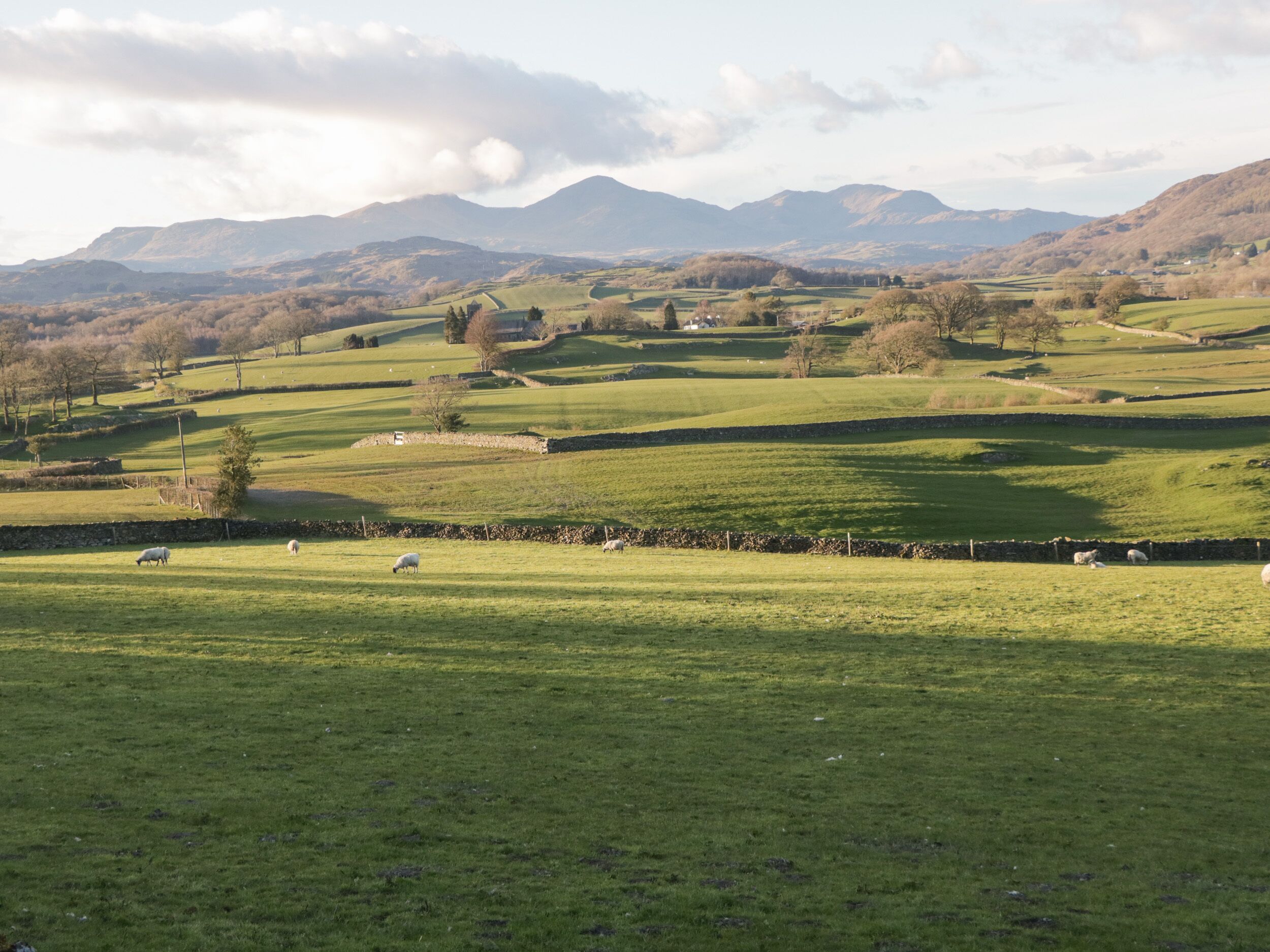 A rural landscape with rolling hills, a stone wall, and sheep grazing.