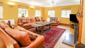 Ein Wohnzimmer mit einem braunen Ledersofa, einem Holztisch und einem roten Teppich mit Muster. Zwei Fenster mit Jalousien, ein Kamin und ein Fernseher auf einem Schrank.