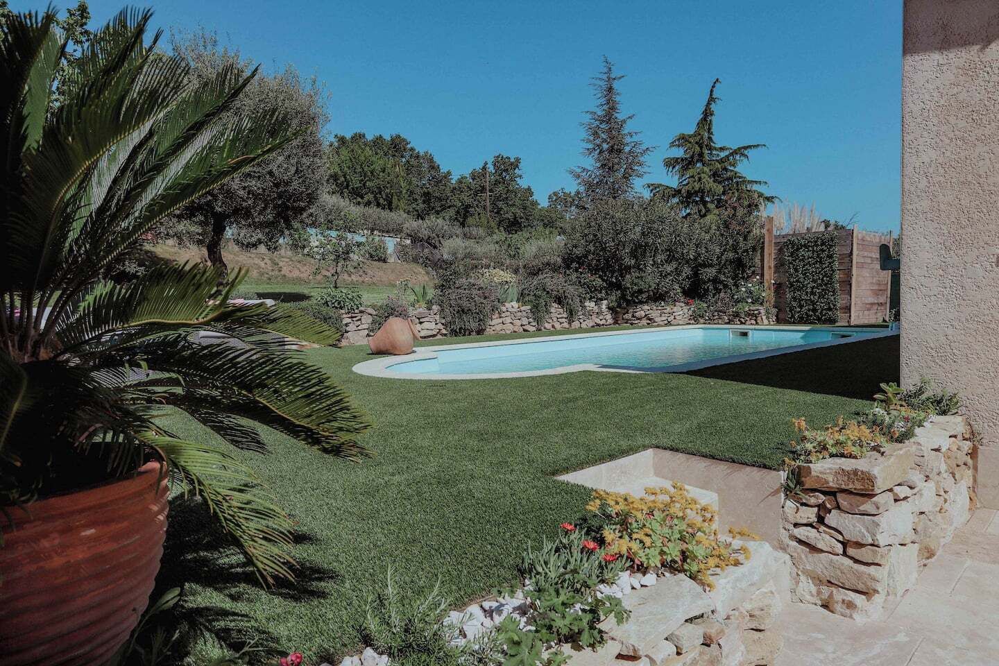 A backyard with a swimming pool, a palm tree, and a stone wall.