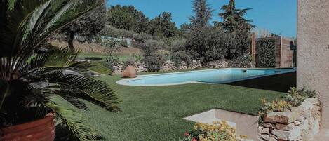 A backyard with a swimming pool, a palm tree, and a stone wall.