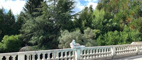 A swimming pool with a stone balustrade, surrounded by lush greenery and trees.