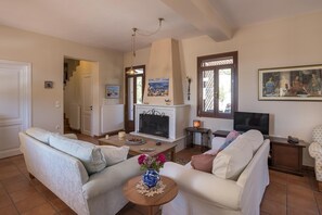 TV, fireplace
