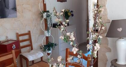 10km from Pont du Gard pretty villa in a quiet area with swimming pool
