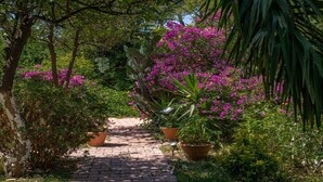 A paved garden path surrounded by lush greenery and flowering plants.