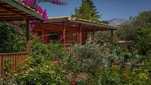 A wooden pergola with a view of a lush garden and mountains in the background.
