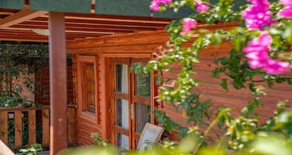 Felicity Hotel & Bungalows