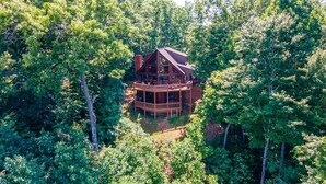 A wooden cabin with a central deck and multiple levels, surrounded by dense forest. - Early Rise - Blue Ridge  (Blue Ridge)