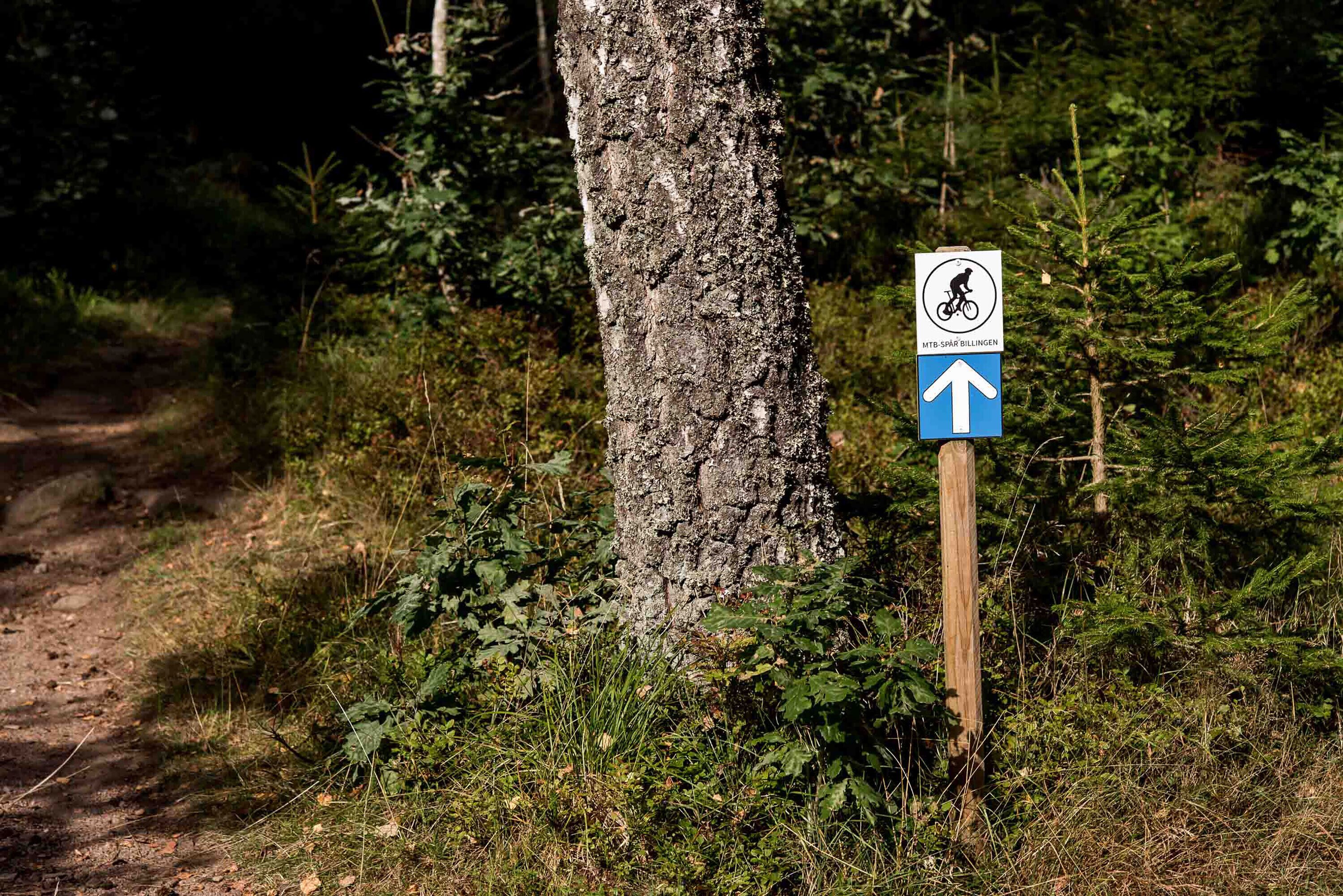 A hiking trail sign with a bicycle symbol and an arrow pointing straight ahead.