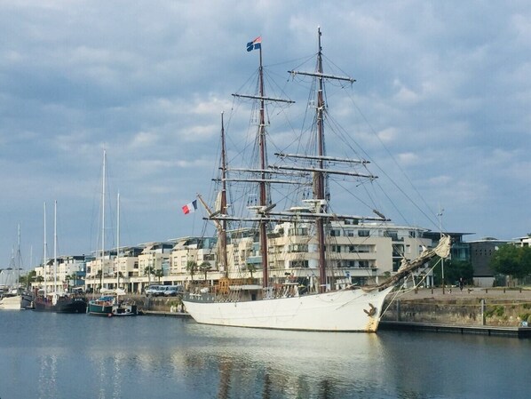Un gran velero amarrado en un puerto deportivo, con edificios al fondo.