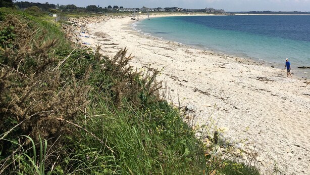 En strand med en person, klare himmel og en fjerntliggende kystlinje med bygninger.