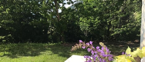 Terrain de lâhĂ©bergement