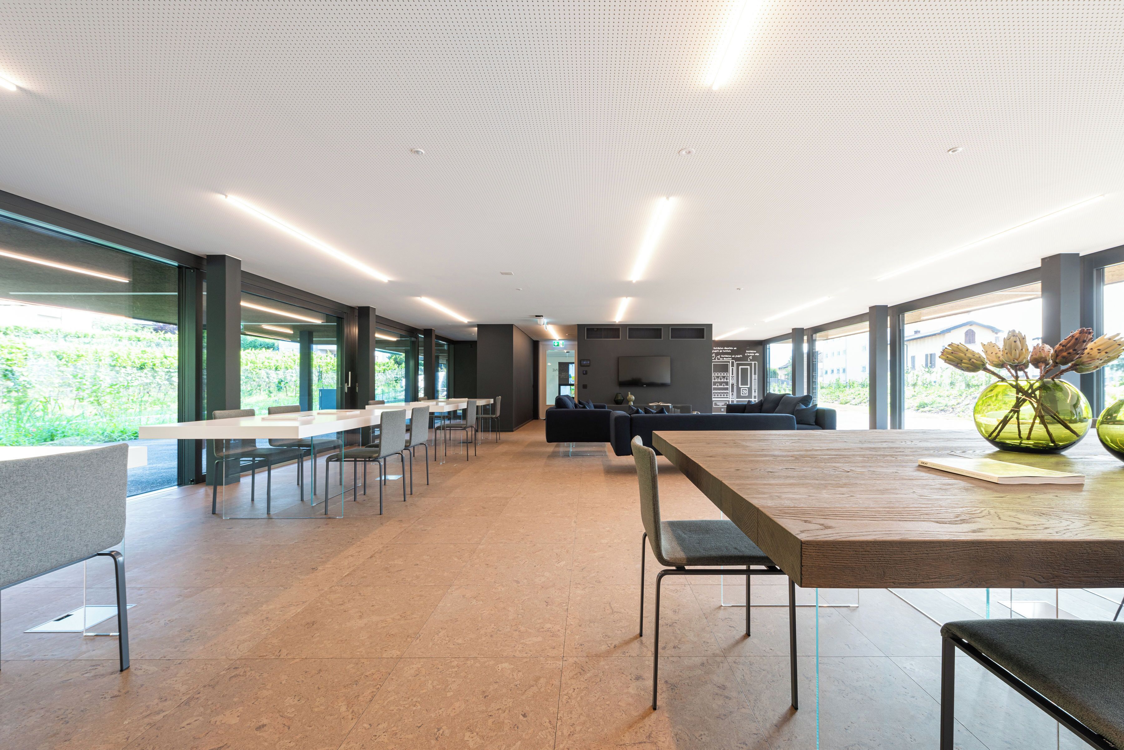 A modern interior with a long dining table, chairs, a sofa, and a television.