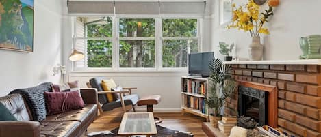 智能電視、壁爐、書籍