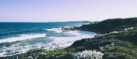 A coastal landscape with a view of the sea, rocky shoreline, and vegetation.