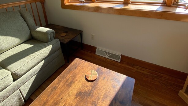 Een kamer met een houten vloer, een groene bank, een houten tafel met een decoratief object, en een raam met uitzicht op een bos en een weg.