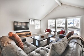 TV connectée, cheminée, livres