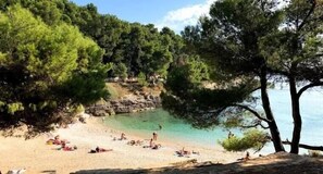 Una spiaggia nelle vicinanze
