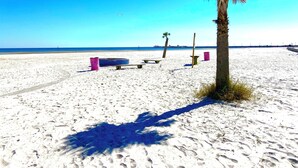 Ein sandiger Strand mit einer Palme, einer Holzbank und einem Mülleimer.
