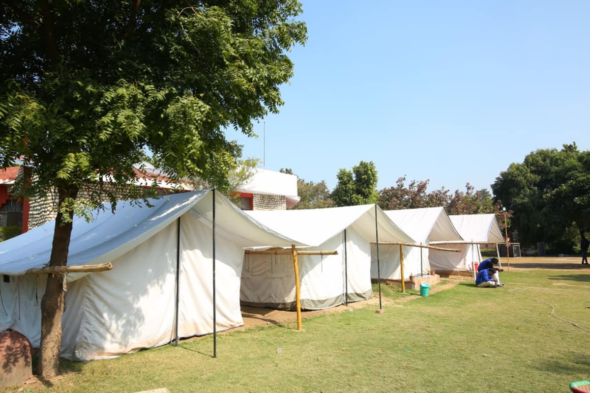 A row of white tents with a tree in the foreground, set up in an open grassy area.