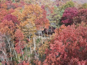 Exterior - Ultimate Mountain Hideaway: Modern Lodge-Like Cabin with Fire Pit & Hot Tub! (Maggie Valley)