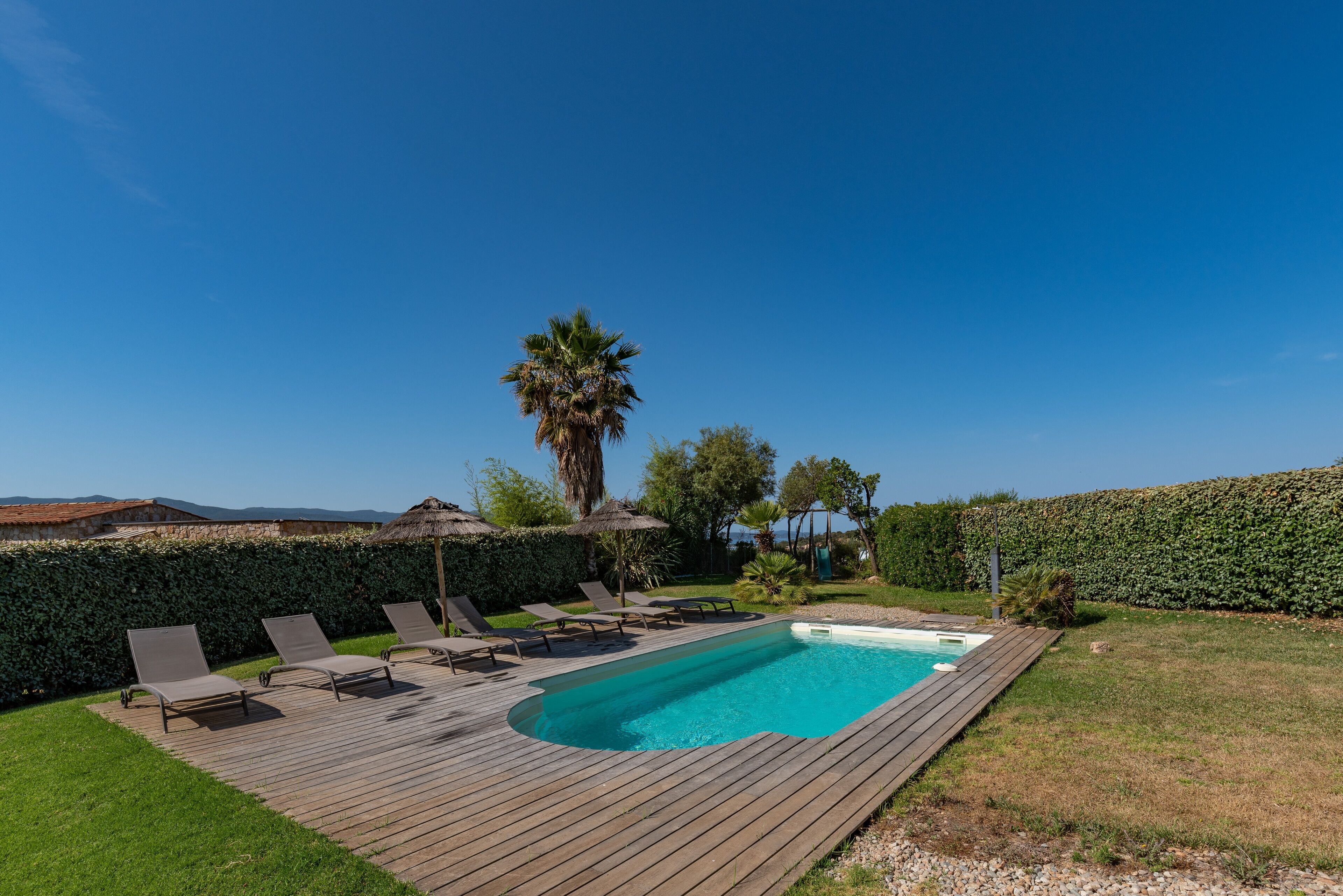 A wooden deck with lounge chairs, a swimming pool, and a palm tree.