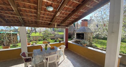 2 bedroom accommodation in Pula with terrace and barbecue