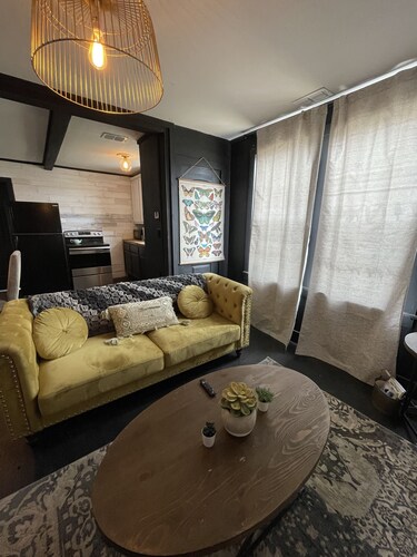 Chic 2 br/1 ba cozy apt 5 min from UTRGV