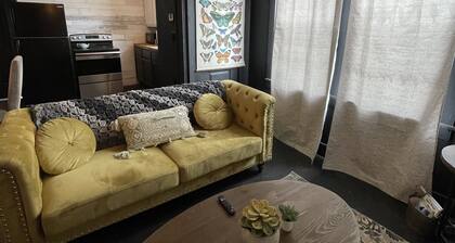 Chic 2 br/1 ba cozy apt 5 min from UTRGV