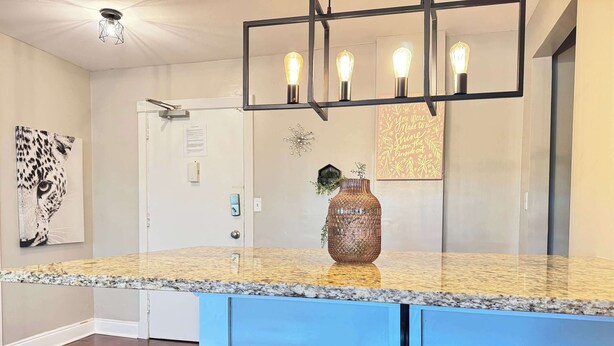 Une cuisine moderne dotée d’un plan de travail en granit, d’un luminaire suspendu et d’un vase décoratif.