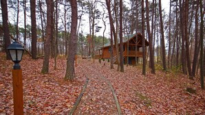 Une cabane en bois située dans une forêt, avec un sentier qui y mène.