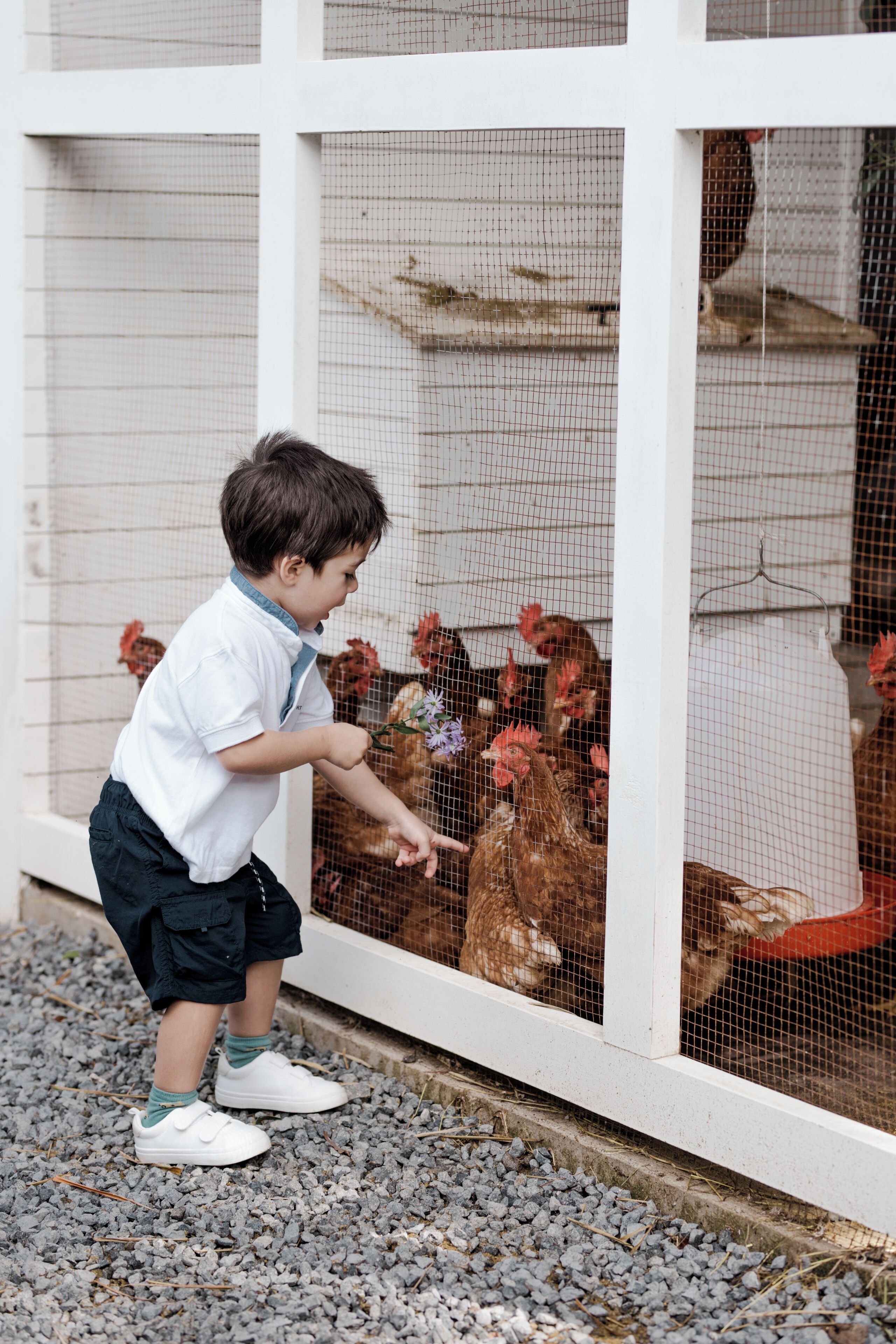 Photo - Villa Bokeh Relais & Châteaux