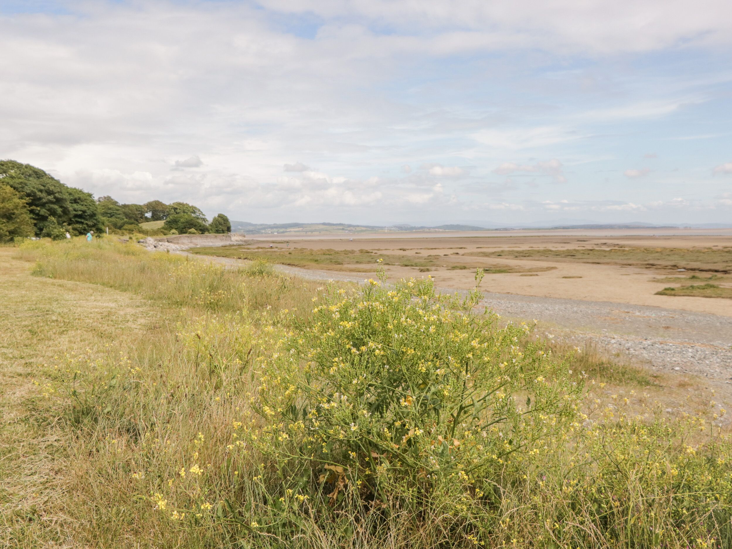 A flat, open landscape with sparse vegetation and a distant horizon.