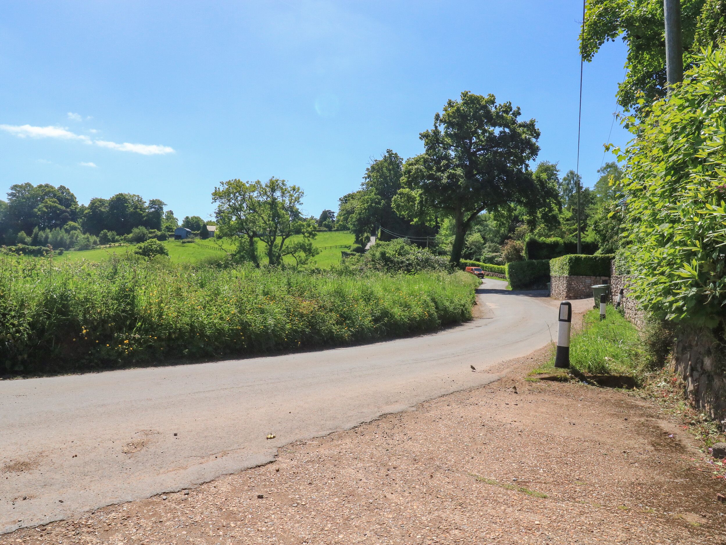 A rural road curving through a green landscape with trees and bushes.