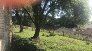 A rural landscape with a large tree, a brick wall, and a fenced area with houses in the background. - Semi-detached apartment with land (Cauneille)