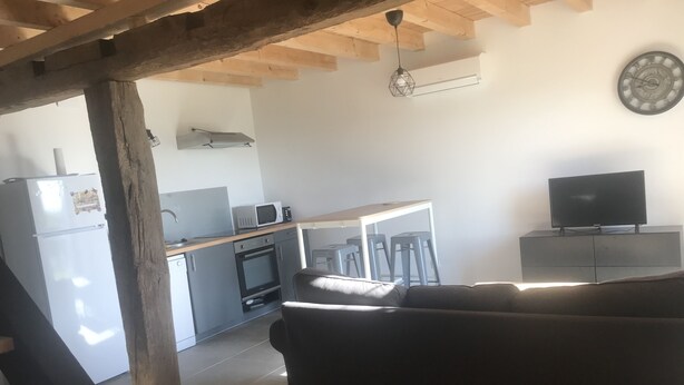 A modern kitchen with a microwave, oven, and refrigerator. There is a dark-colored sofa and a television in the living area. - Semi-detached apartment with land (Cauneille)