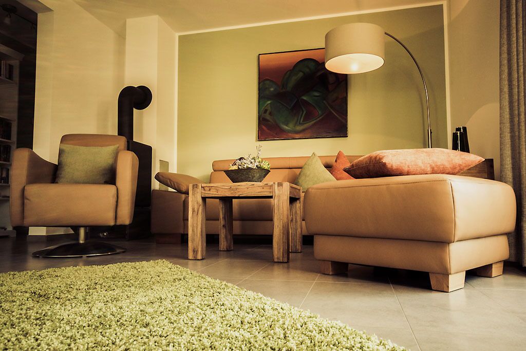 TV, fireplace, DVD player, books