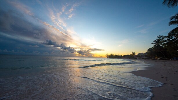 A beach with waves, a sunset, and palm trees.