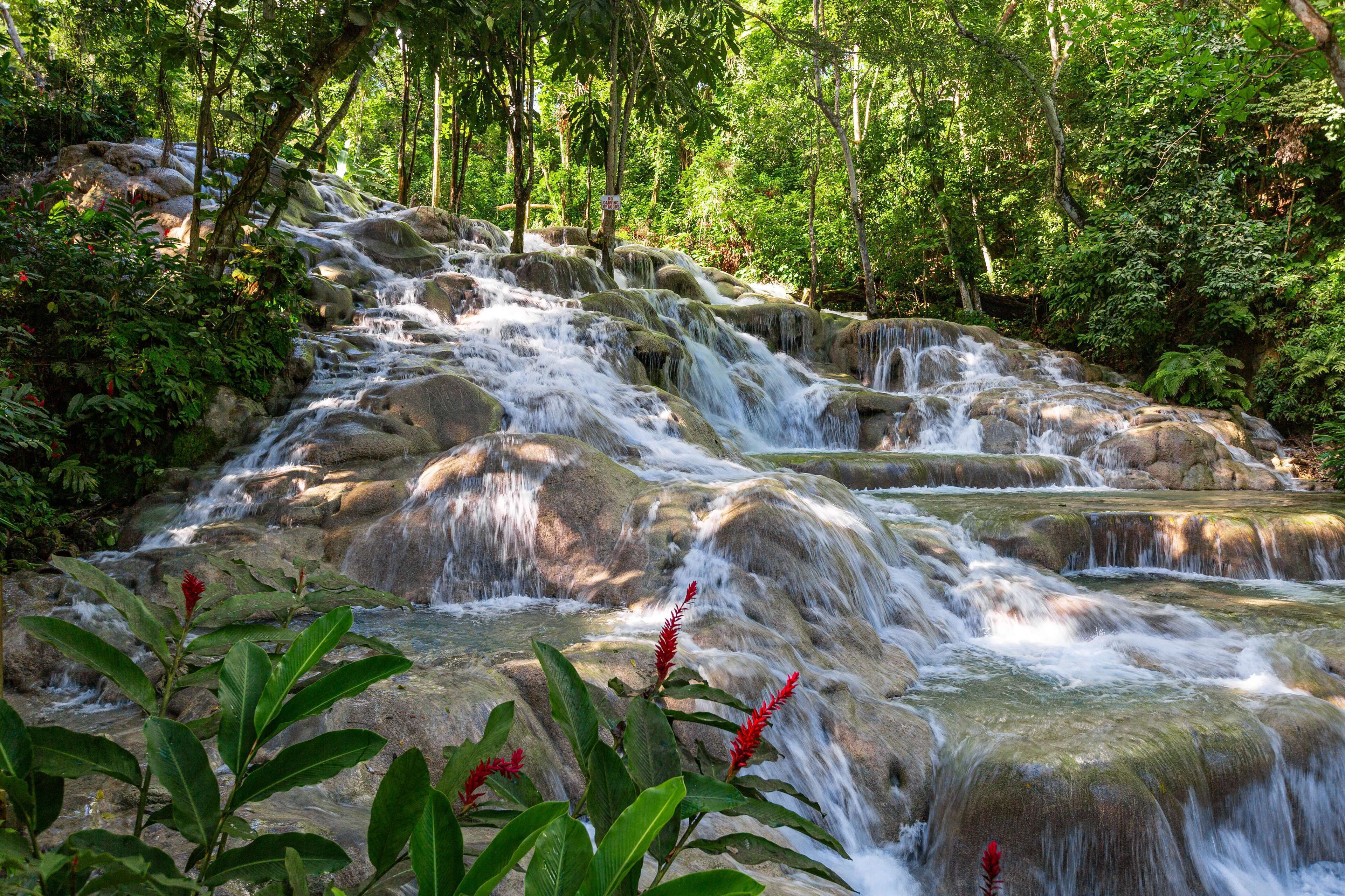 A waterfall cascading over rocks in a lush forest setting.