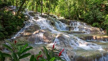 A waterfall cascading over rocks in a lush forest setting.
