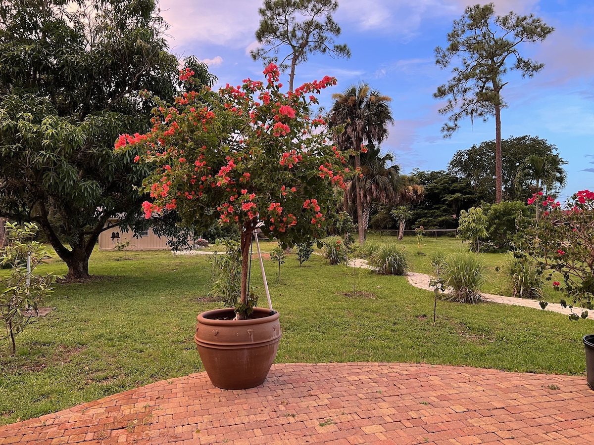 Photo 21 of Naples Getaway House