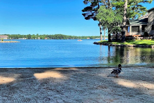 Una spiaggia nelle vicinanze, lettini da mare