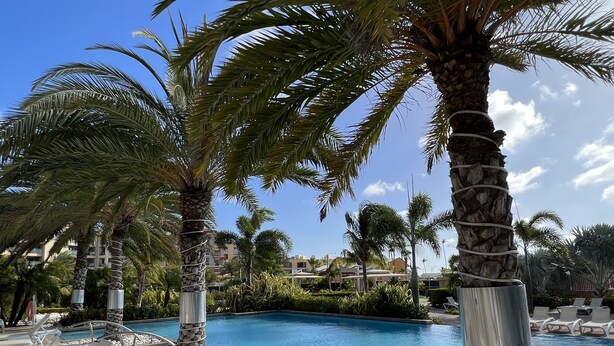 Área de piscina com espreguiçadeiras, palmeiras e um céu azul límpido.