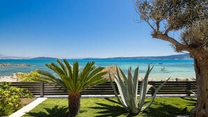 A coastal view with a clear sky, a palm tree, and a large agave plant in the foreground. - Beachfront Villa Tota with Pool (Kaštel Štafilić)