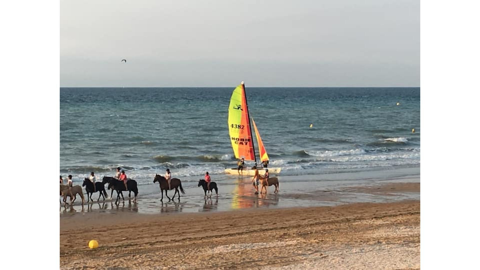 Ein Strand mit Segelboot und Pferden.