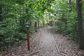 Un sentier forestier avec une passerelle en bois et un lampadaire.