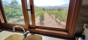 Enjoy a vineyard view from the kitchen window, where you can see rows of grapevines and distant mountains.