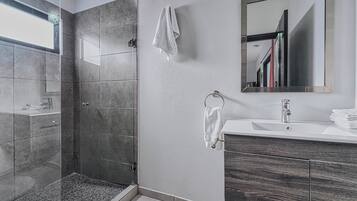 Shower, towels, toilet paper