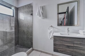 Shower, towels, toilet paper