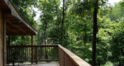 Retreat to Your Private Haven in the Trees